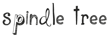 Logo SpindleTree